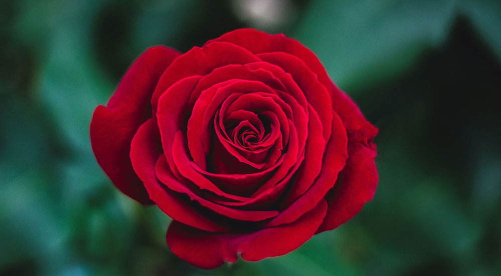 Was ist Osteopathie? 